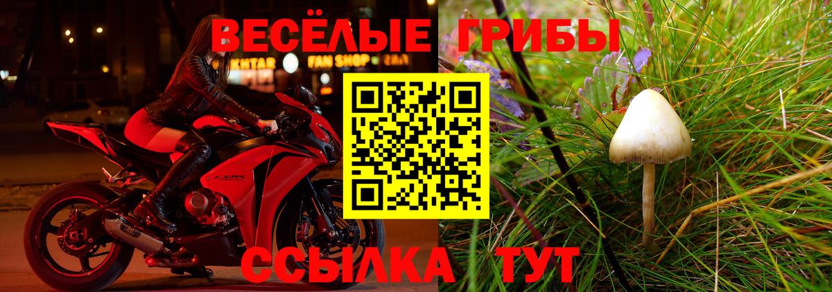 Псилоцибиновые грибы мицелий  Вход с VPN  Галлюциногенные грибы прущие грибы  Южноуральск 