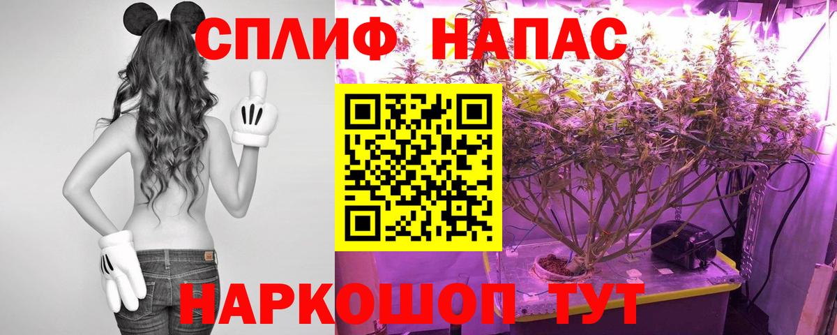 Шишки марихуана гибрид Южноуральск